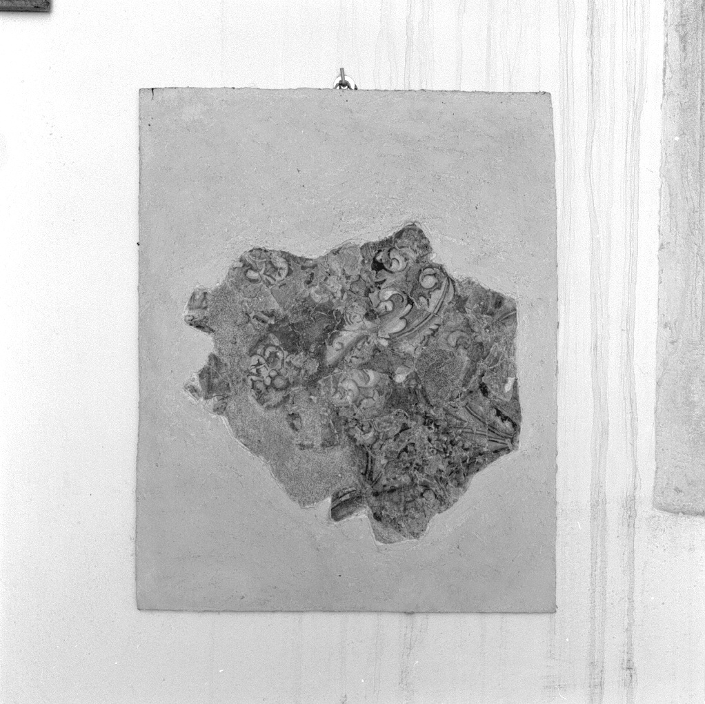 motivi decorativi vegetali (dipinto, frammento) - ambito veneto (?) (sec. XV)