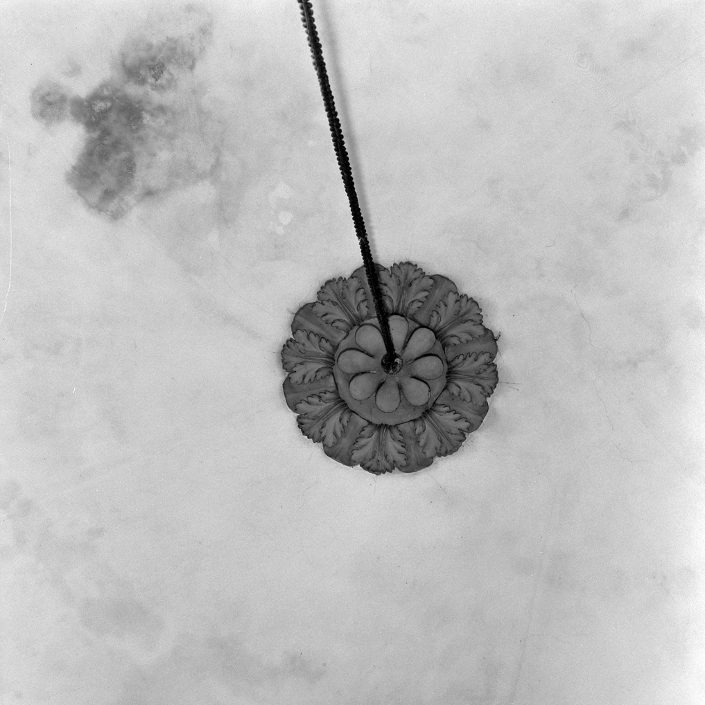 motivo decorativo fitomorfo (decorazione plastica) - ambito veneziano (seconda metà sec. XIX)