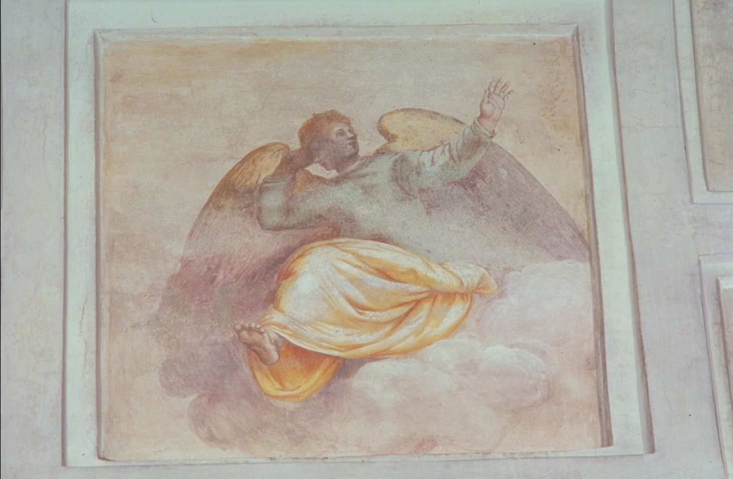 angelo (dipinto, elemento d'insieme) di Franco Battista detto Semolei (sec. XVI)