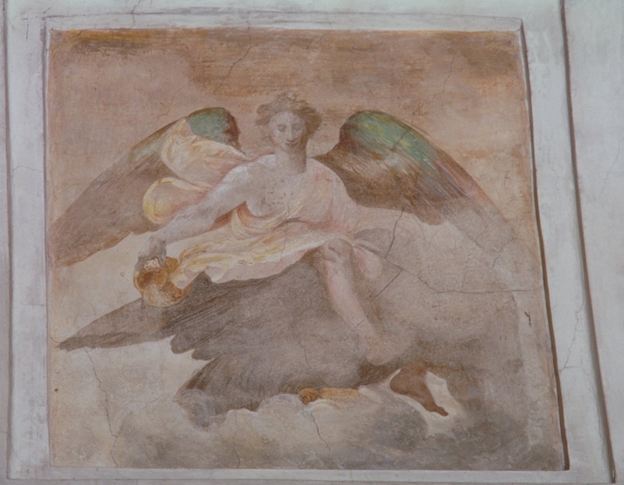 angelo (dipinto, elemento d'insieme) di Franco Battista detto Semolei (sec. XVI)