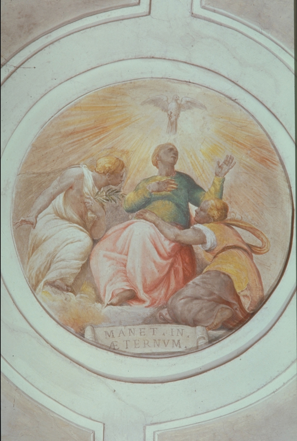 Trinità (dipinto, elemento d'insieme) di Franco Battista detto Semolei (sec. XVI)