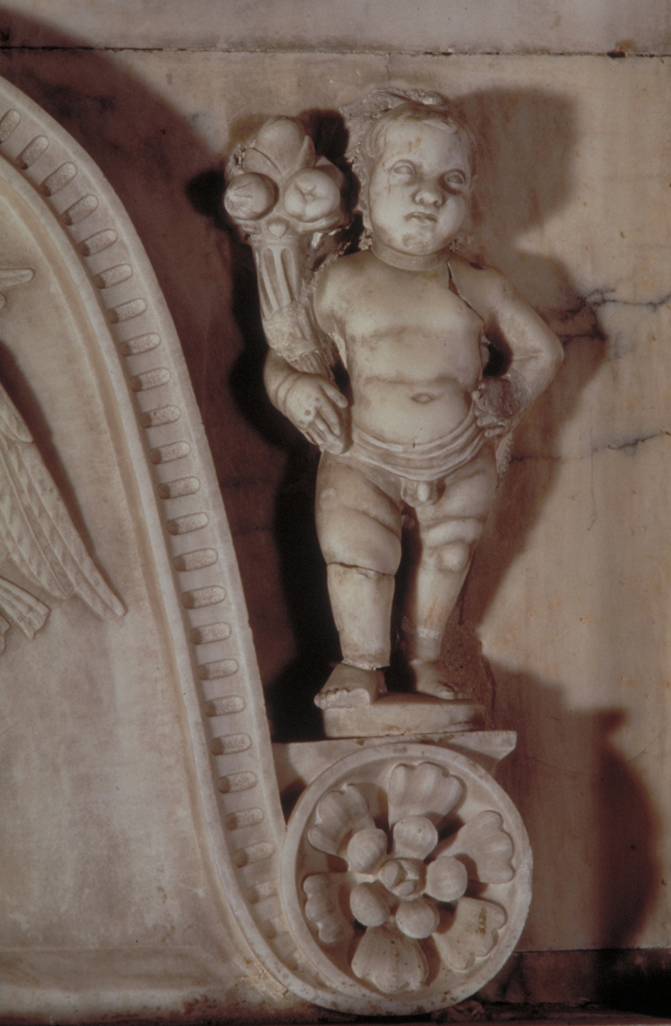 putto (rilievo, elemento d'insieme) di Lombardo Tullio (attribuito) (secc. XV/ XVI)