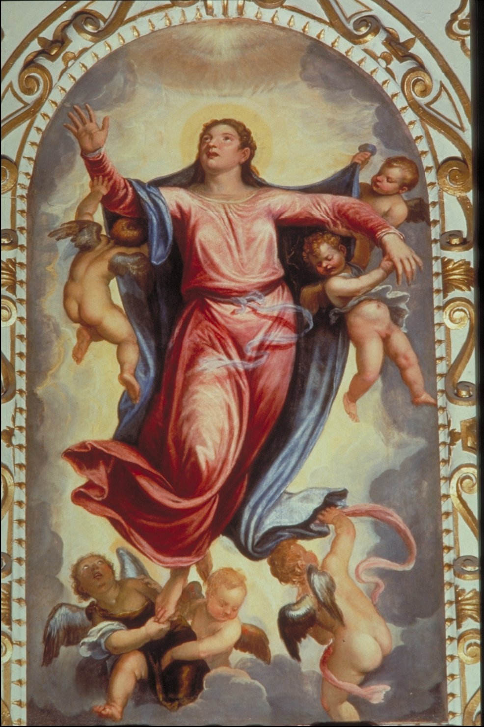 assunzione della Madonna (dipinto) di Montemezzano Francesco (seconda metà sec. XVI)