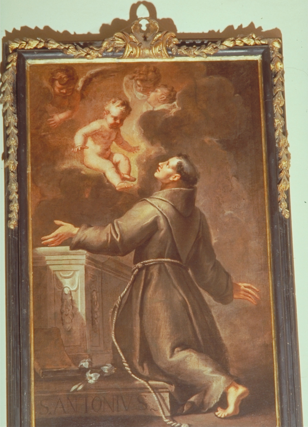 Sant'Antonio da Padova (dipinto) - ambito veneto (seconda metà sec. XVII)