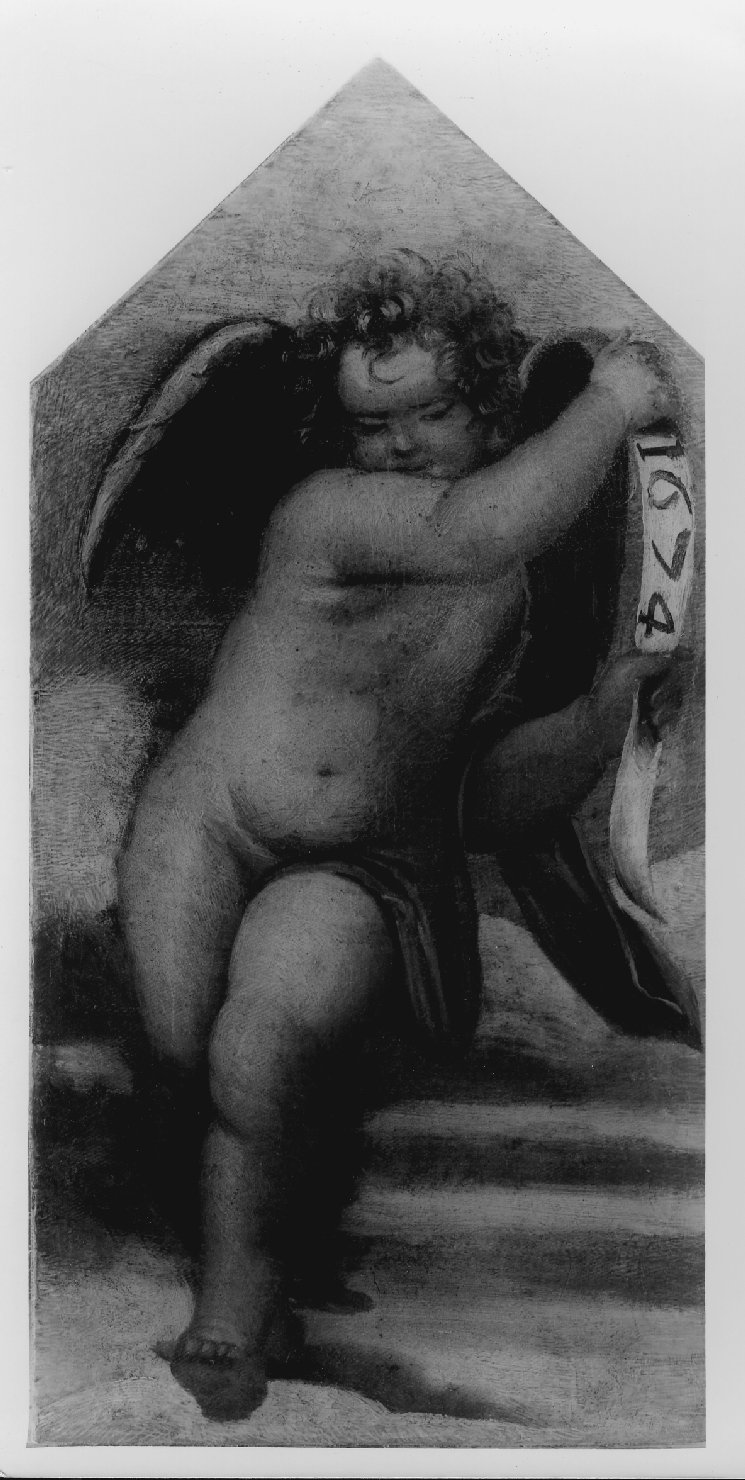 putto con cartiglio (dipinto) di Migliori Francesco (sec. XVII)