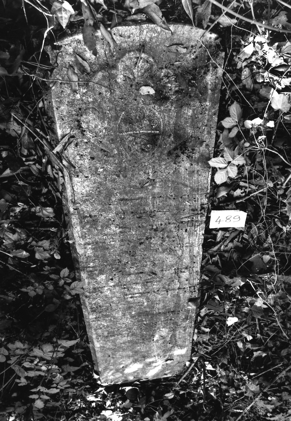 coperchio di sarcofago - ambito veneto (sec. XVII)
