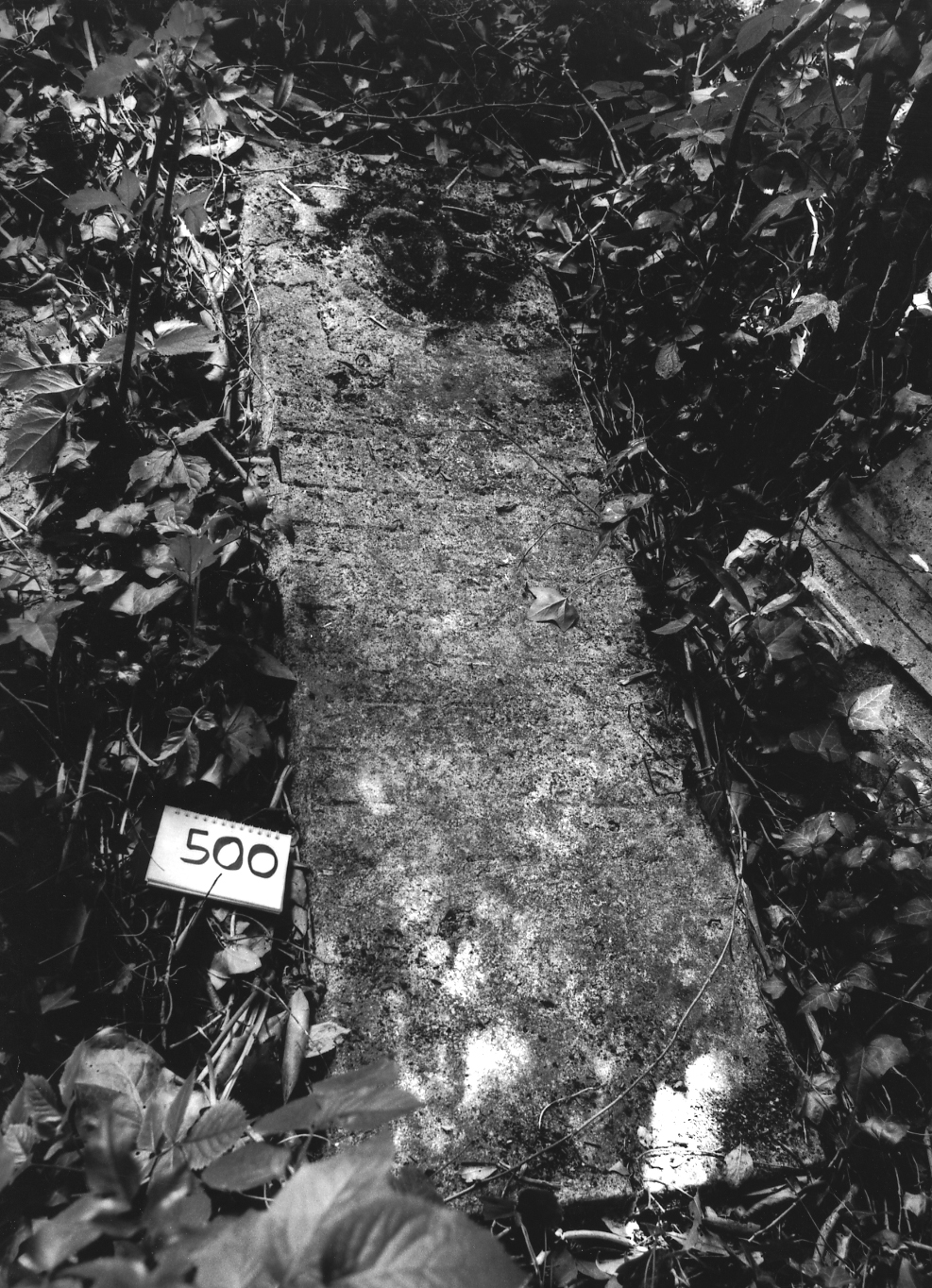 coperchio di sarcofago - ambito veneto (sec. XVII)