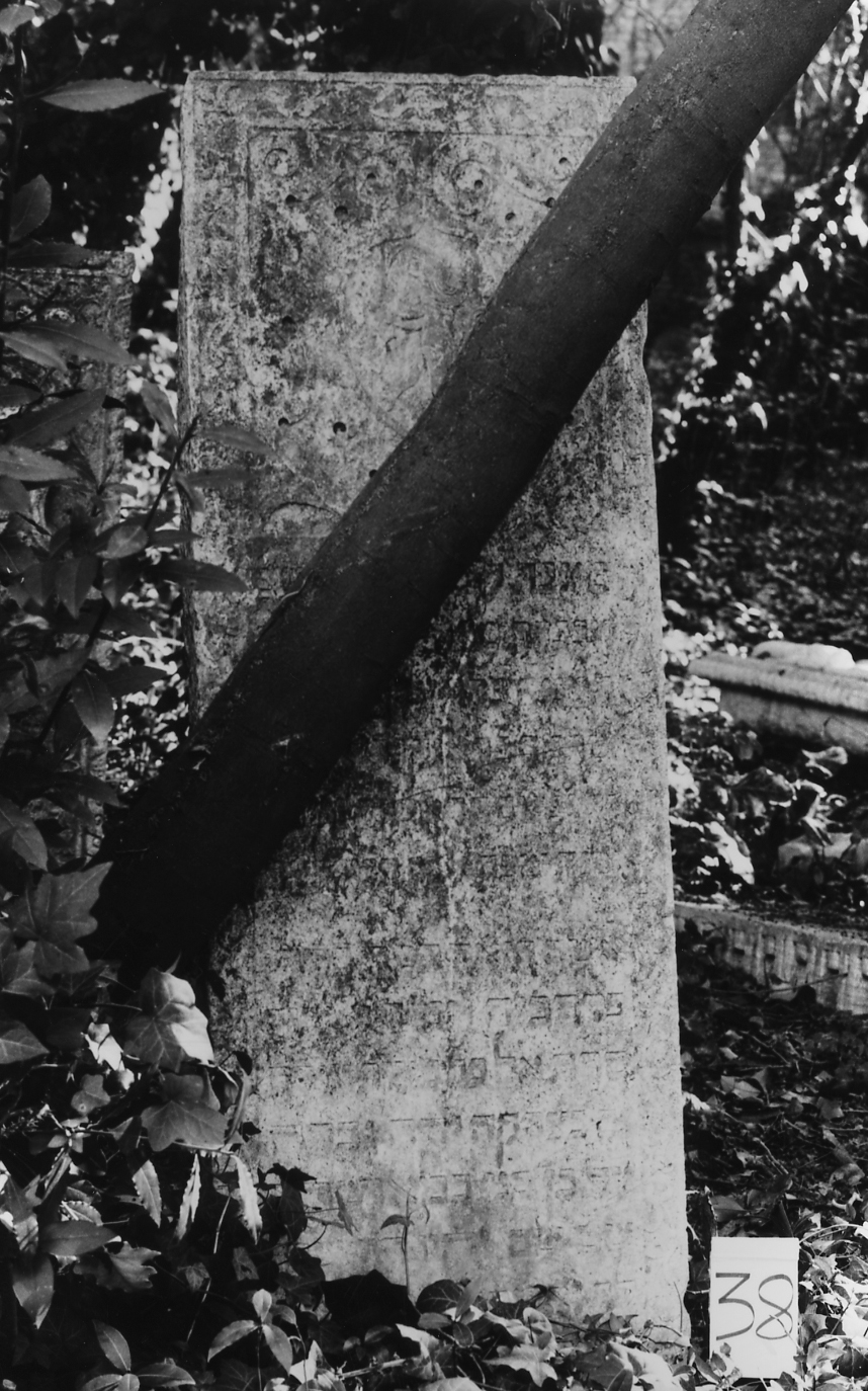 coperchio di sarcofago - ambito veneto (sec. XVII)