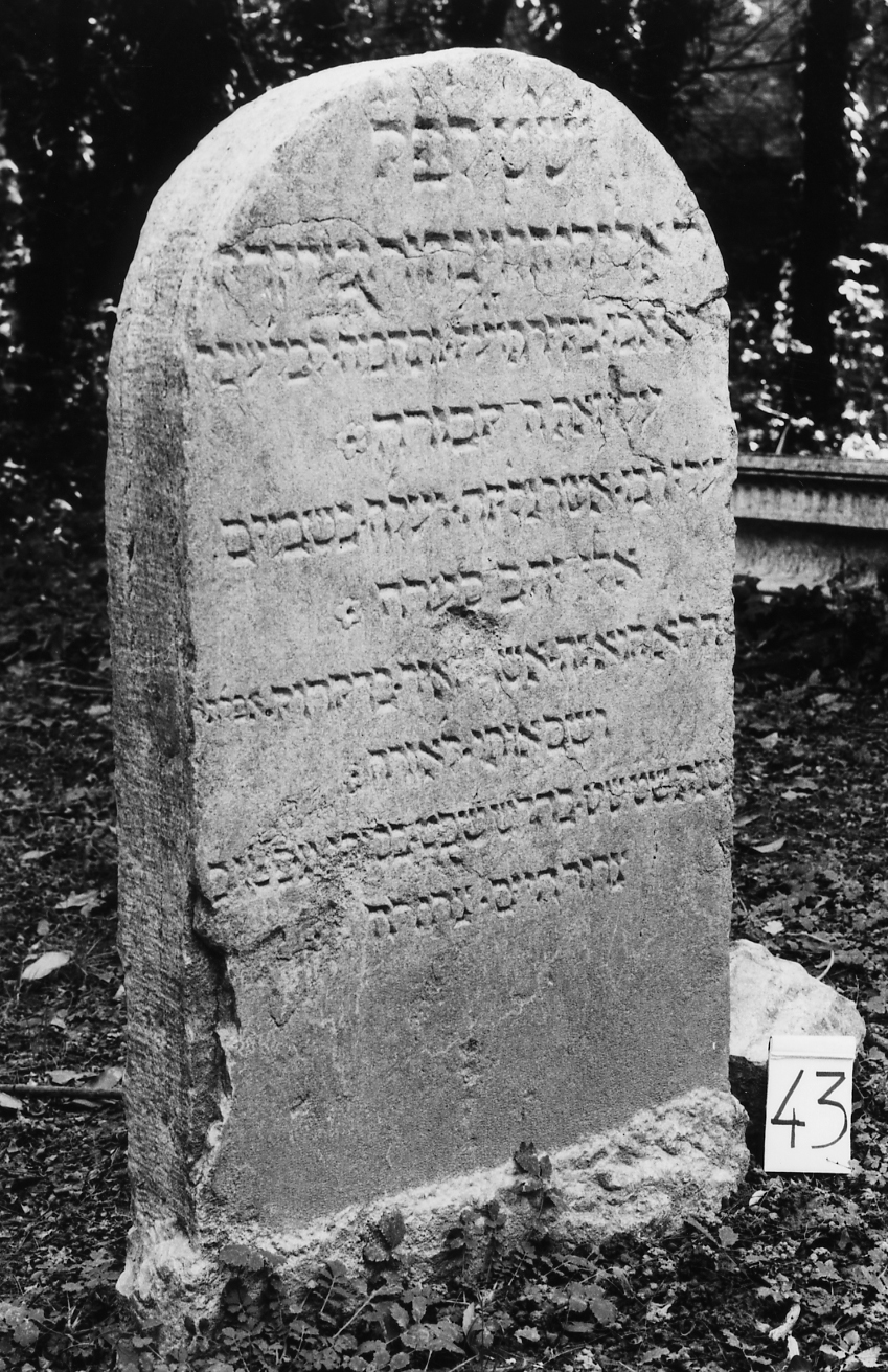 lapide - ambito veneto (sec. XVI)