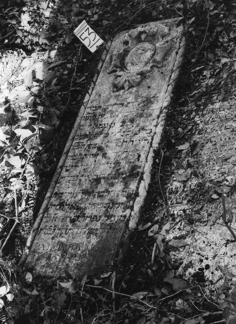 coperchio di sarcofago - ambito veneto (sec. XVII)