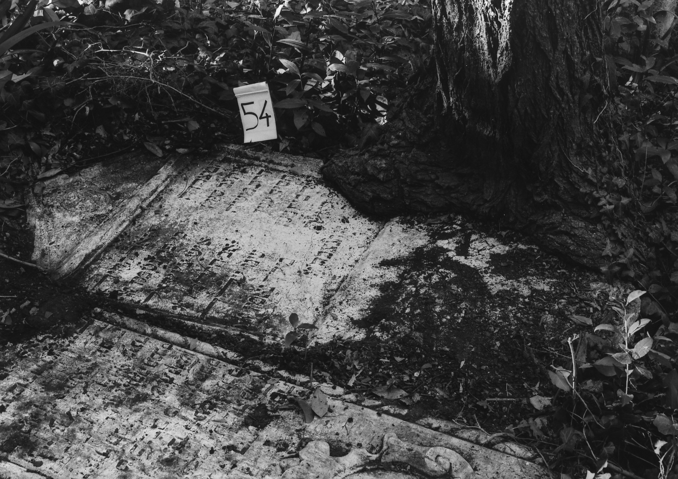 lapide - ambito veneto (sec. XVII)