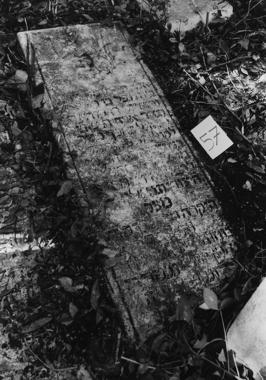 coperchio di sarcofago - ambito veneto (sec. XVII)