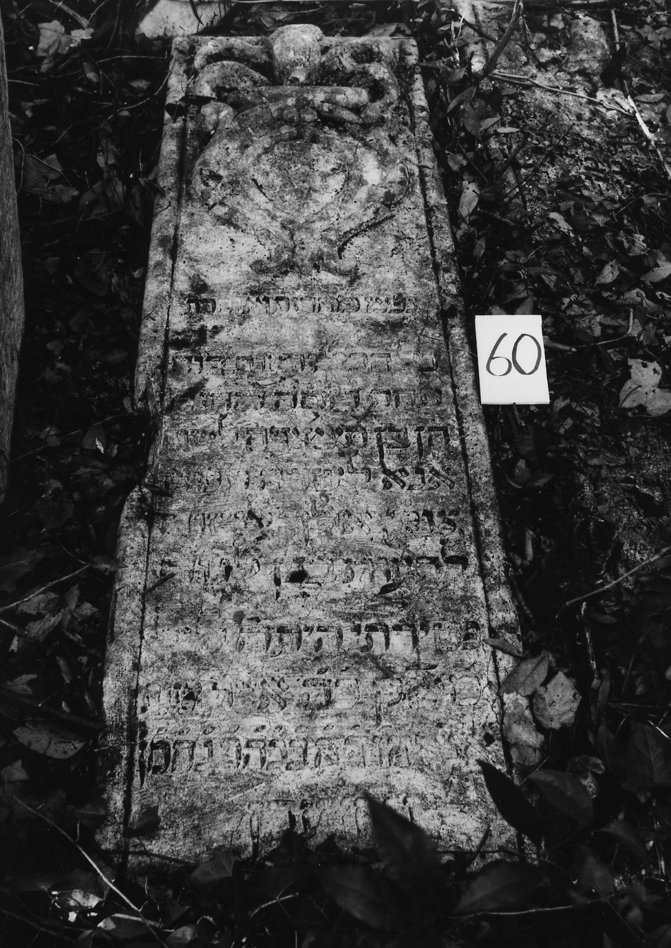 coperchio di sarcofago - ambito veneto (sec. XVII)