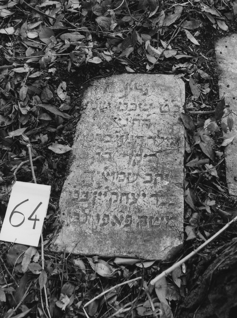 coperchio di sarcofago - ambito veneto (sec. XVII)