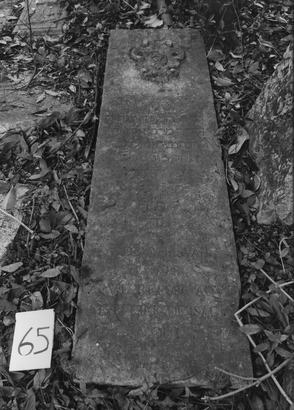 coperchio di sarcofago - ambito veneto (sec. XVII)