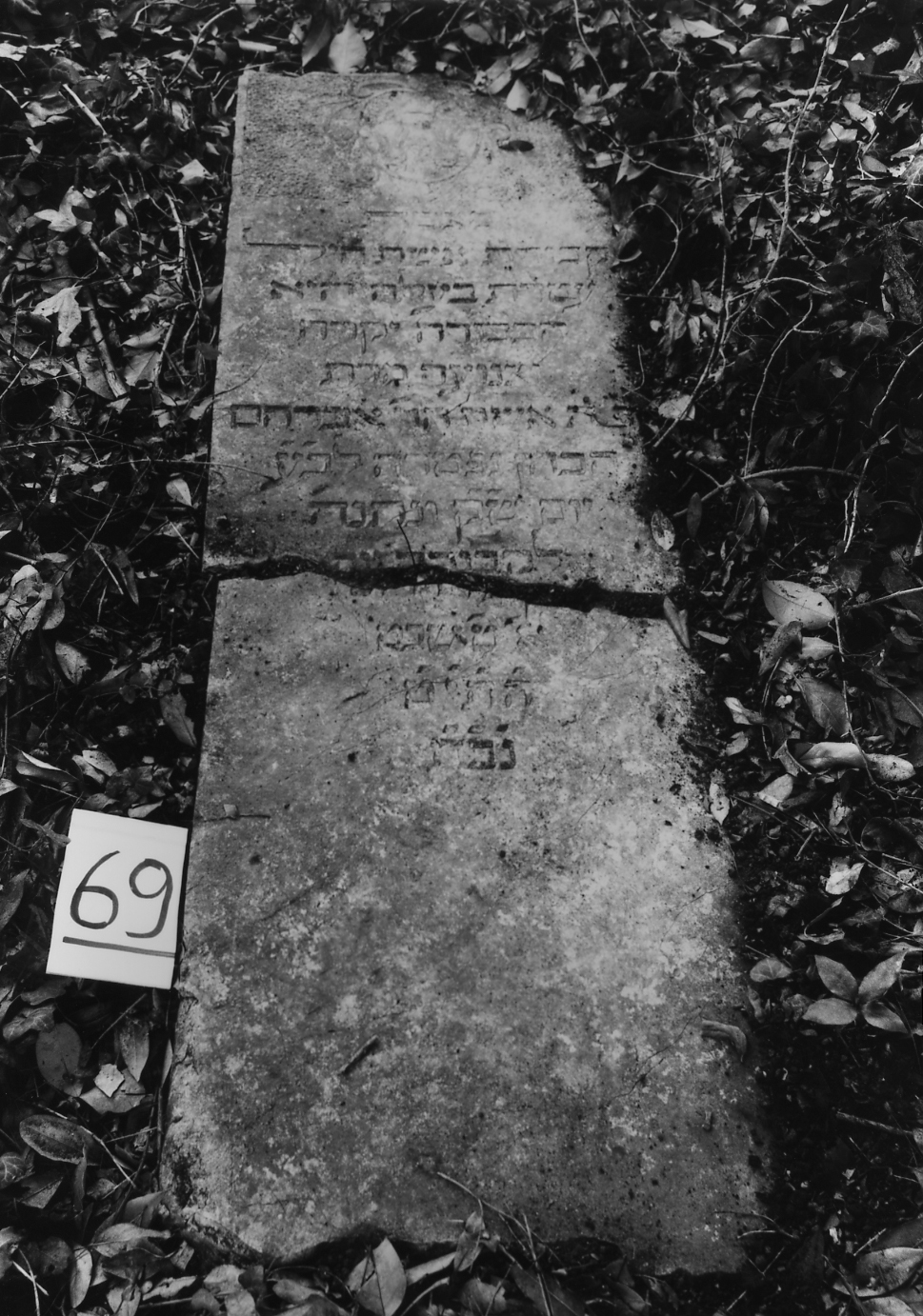 coperchio di sarcofago - ambito veneto (sec. XVII)