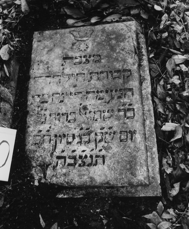 coperchio di sarcofago - ambito veneto (sec. XVII)