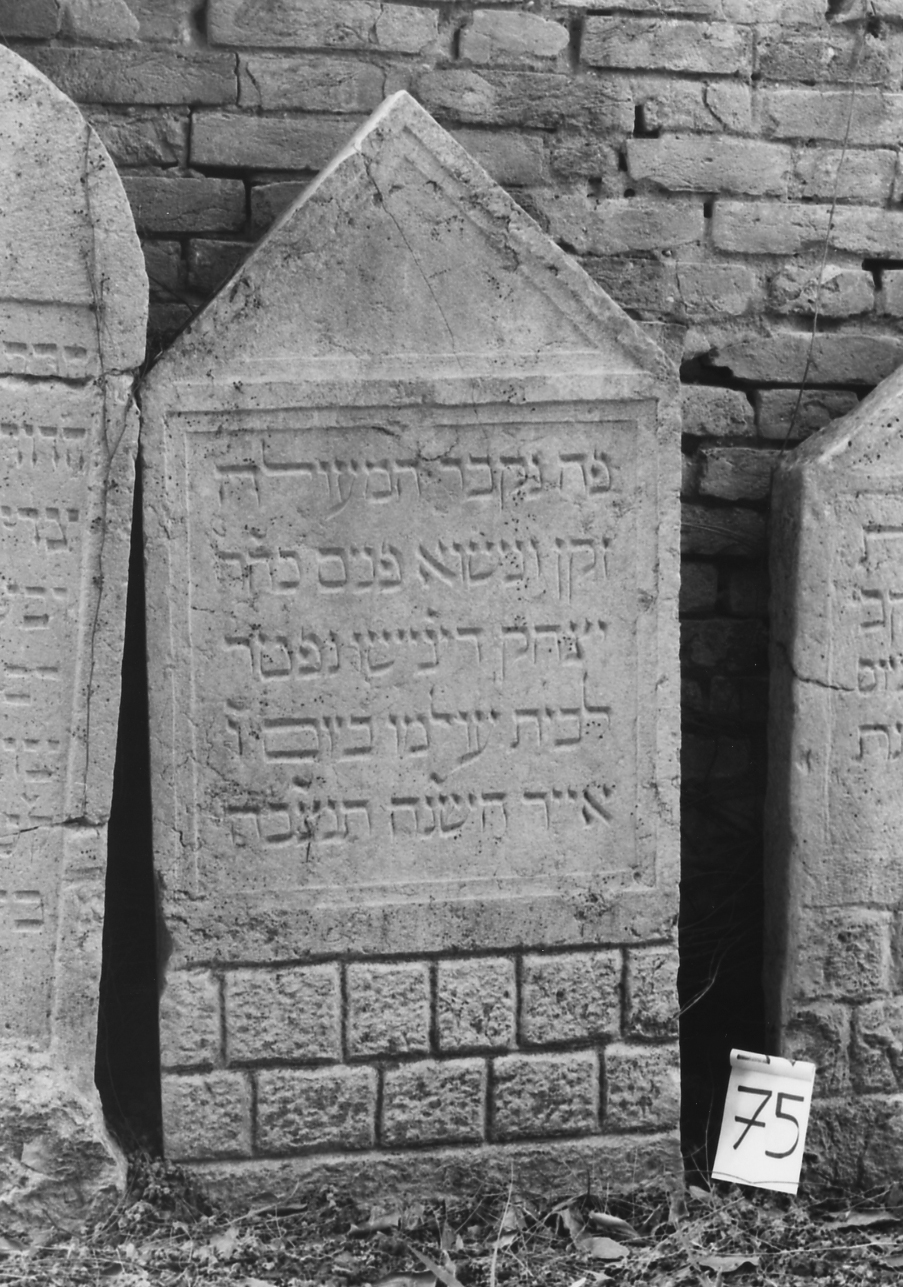 lapide - ambito veneto (sec. XVI)