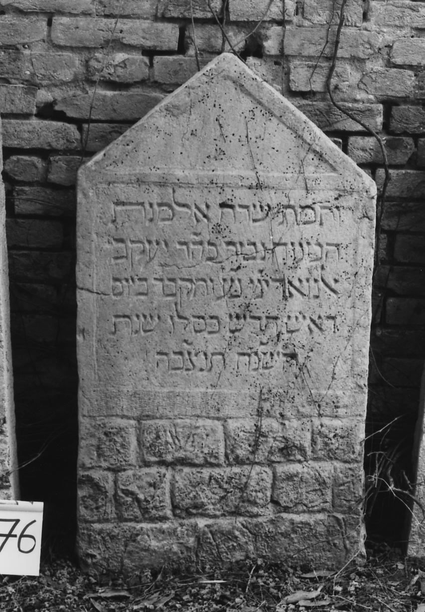 lapide - ambito veneto (sec. XVI)