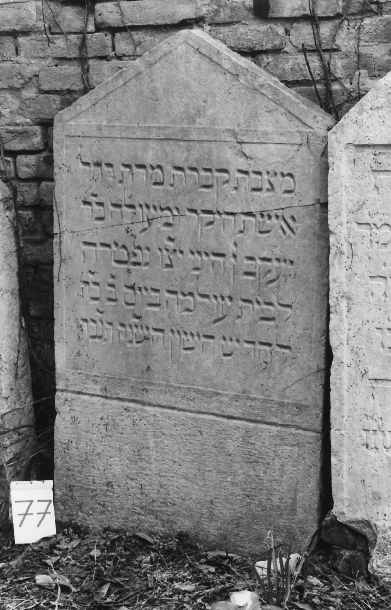 lapide - ambito veneto (sec. XVI)