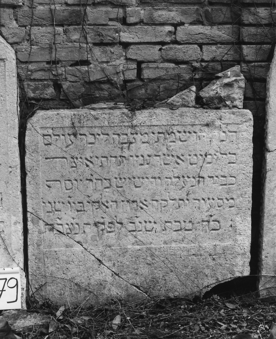 lapide - ambito veneto (sec. XVI)