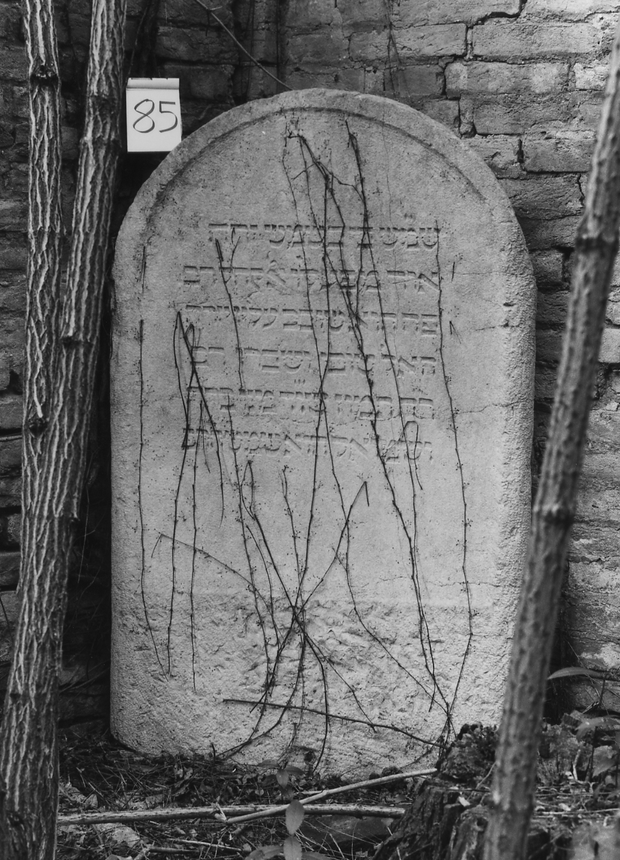 lapide - ambito veneto (sec. XVI)