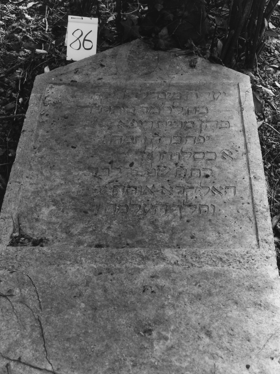 lapide - ambito veneto (sec. XVII)