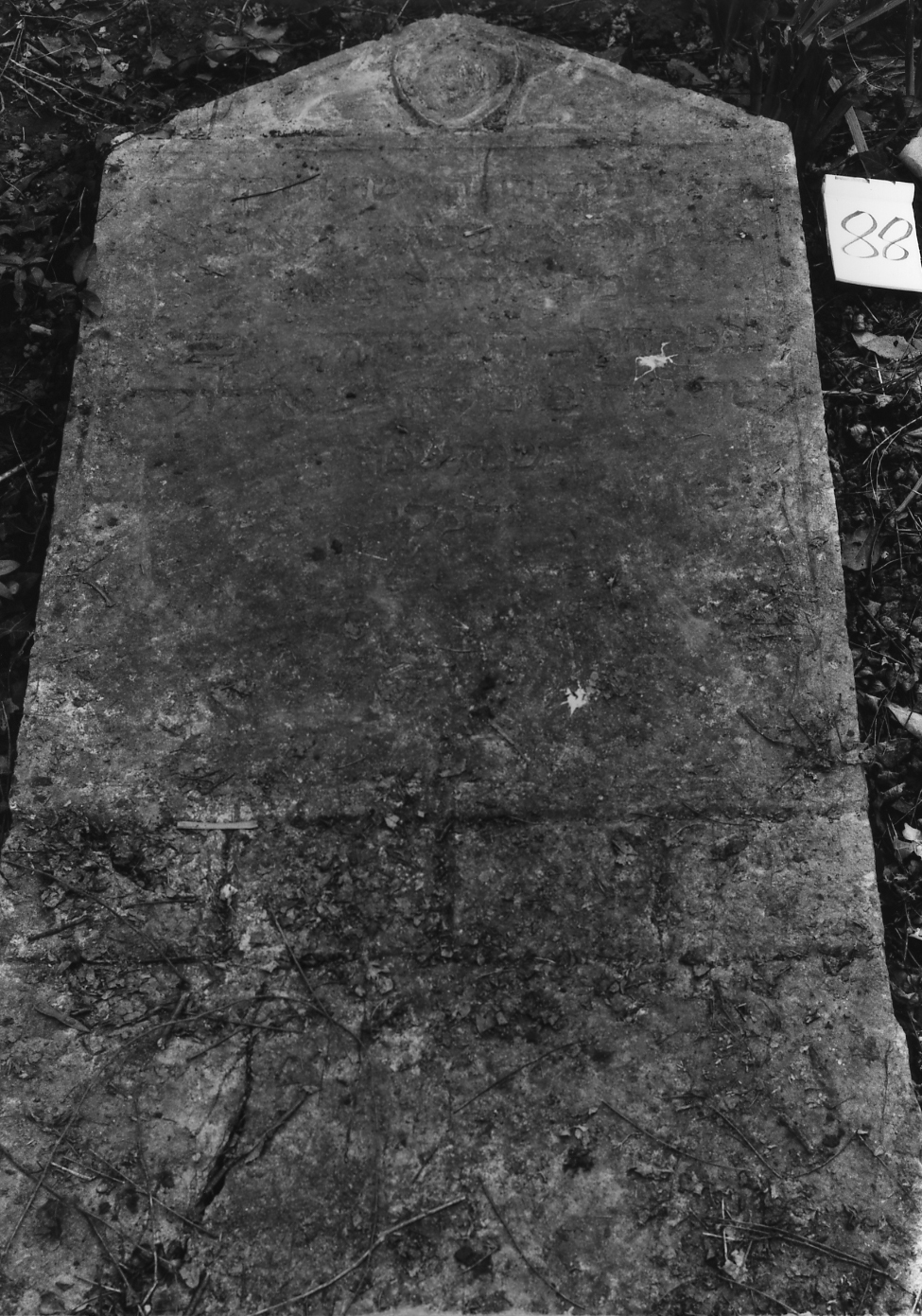 lapide - ambito veneto (sec. XVII)