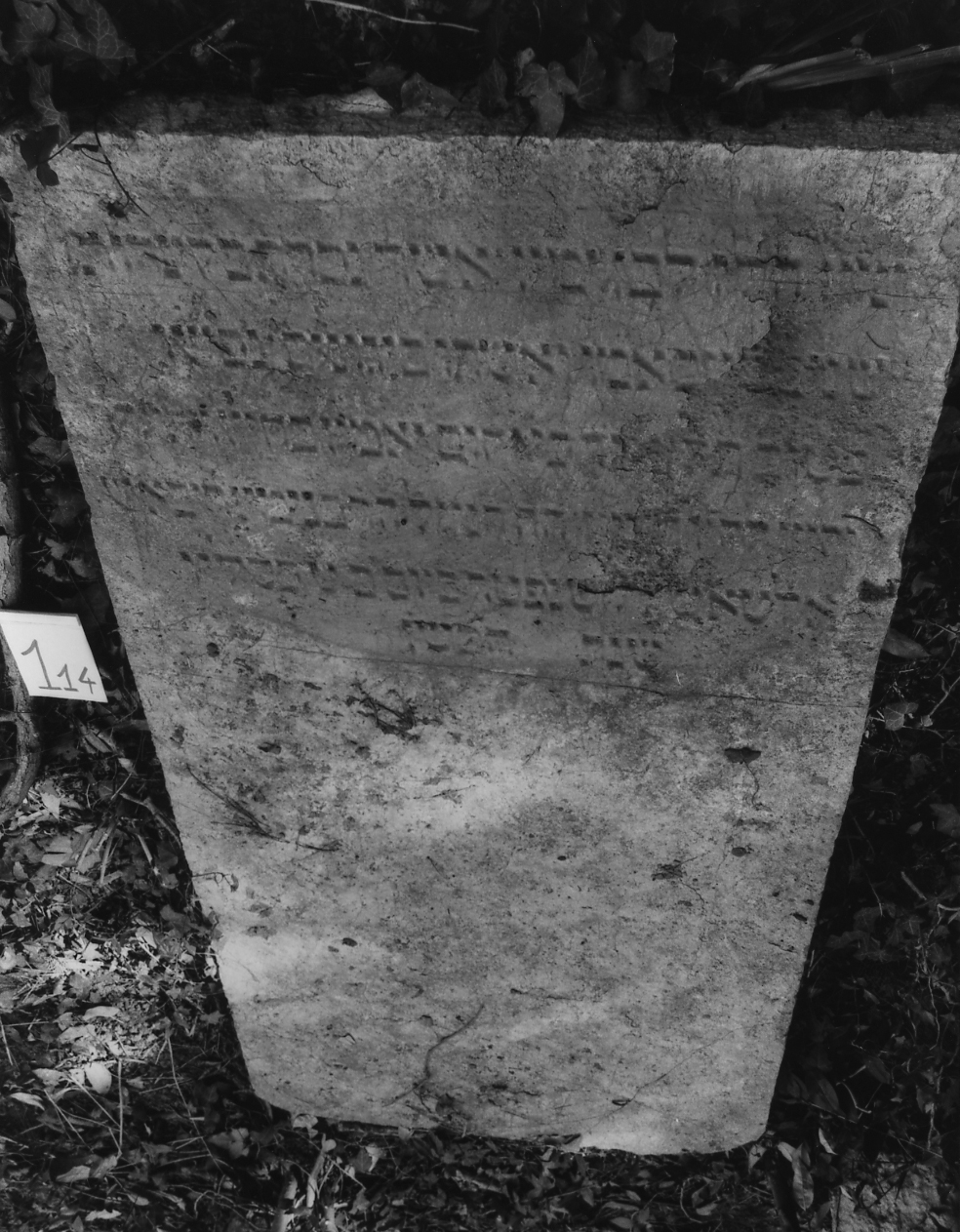 lapide - ambito veneto (sec. XVI)