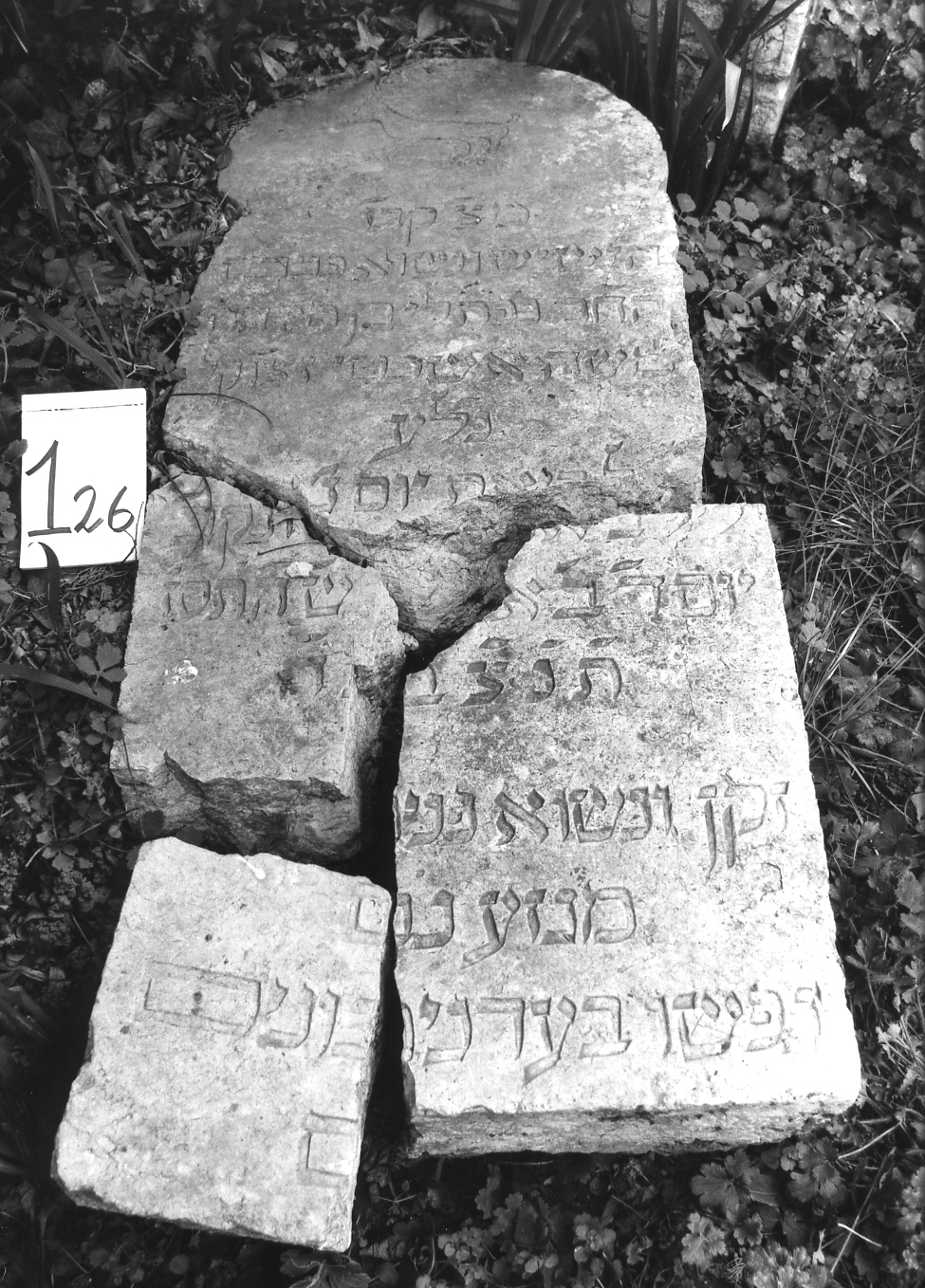 lapide - ambito veneto (sec. XVII)