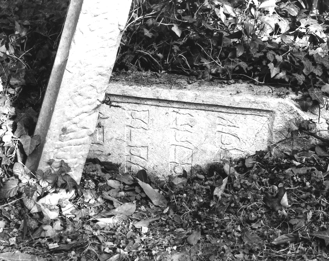 lapide - ambito veneto (sec. XVI)