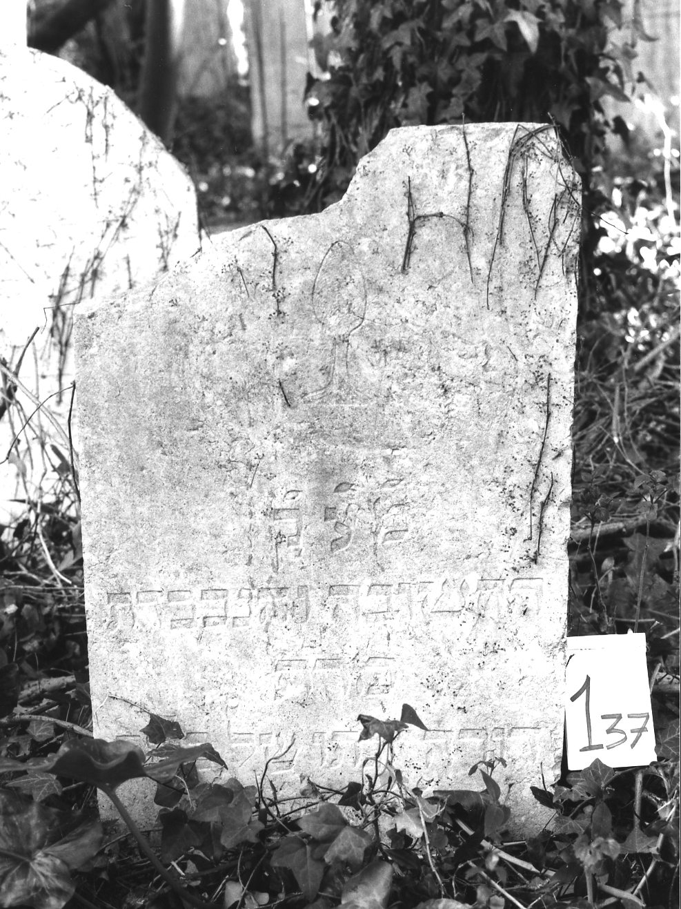 lapide - ambito veneto (sec. XVII)