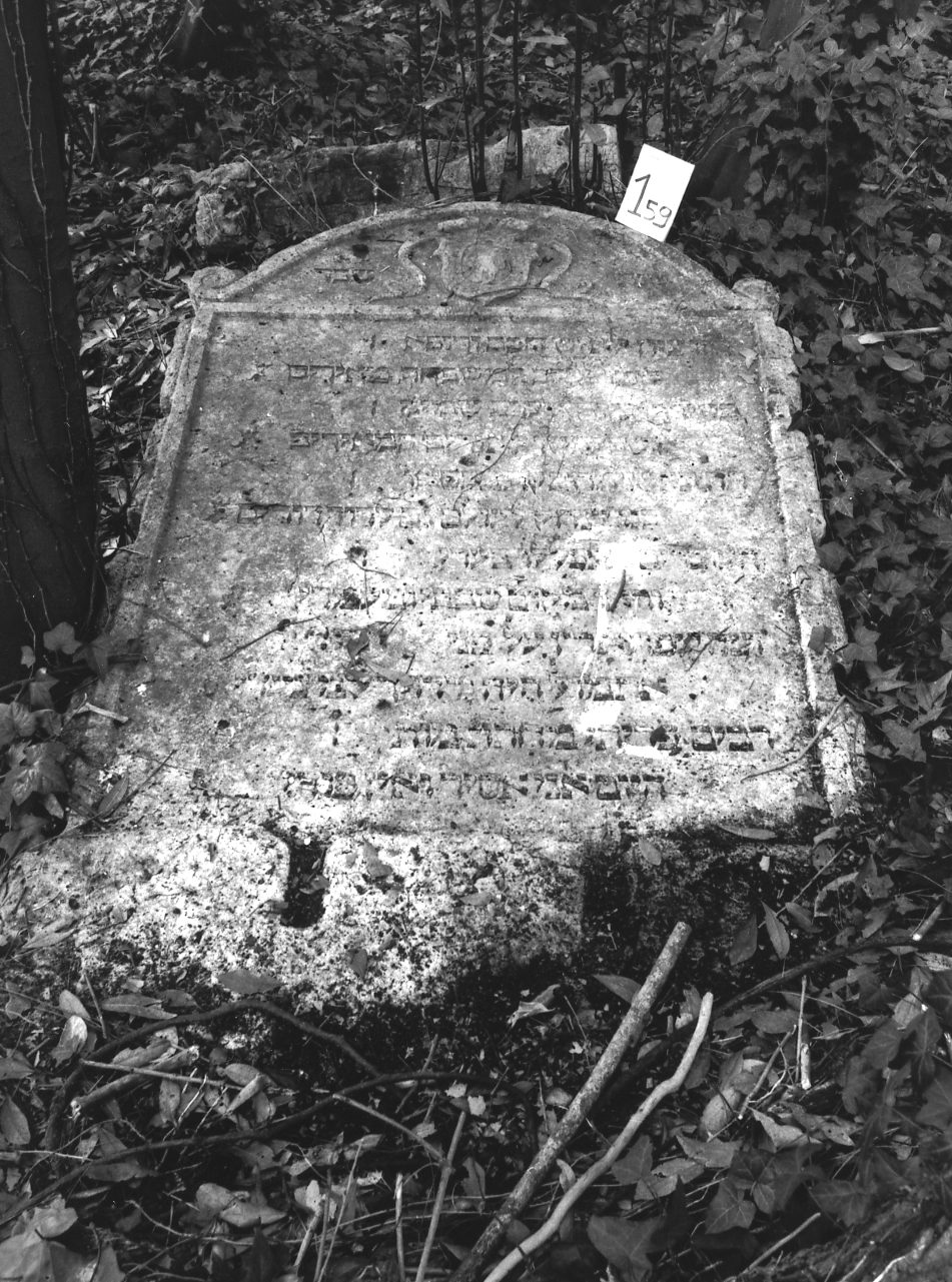 lapide - ambito veneto (sec. XVI)