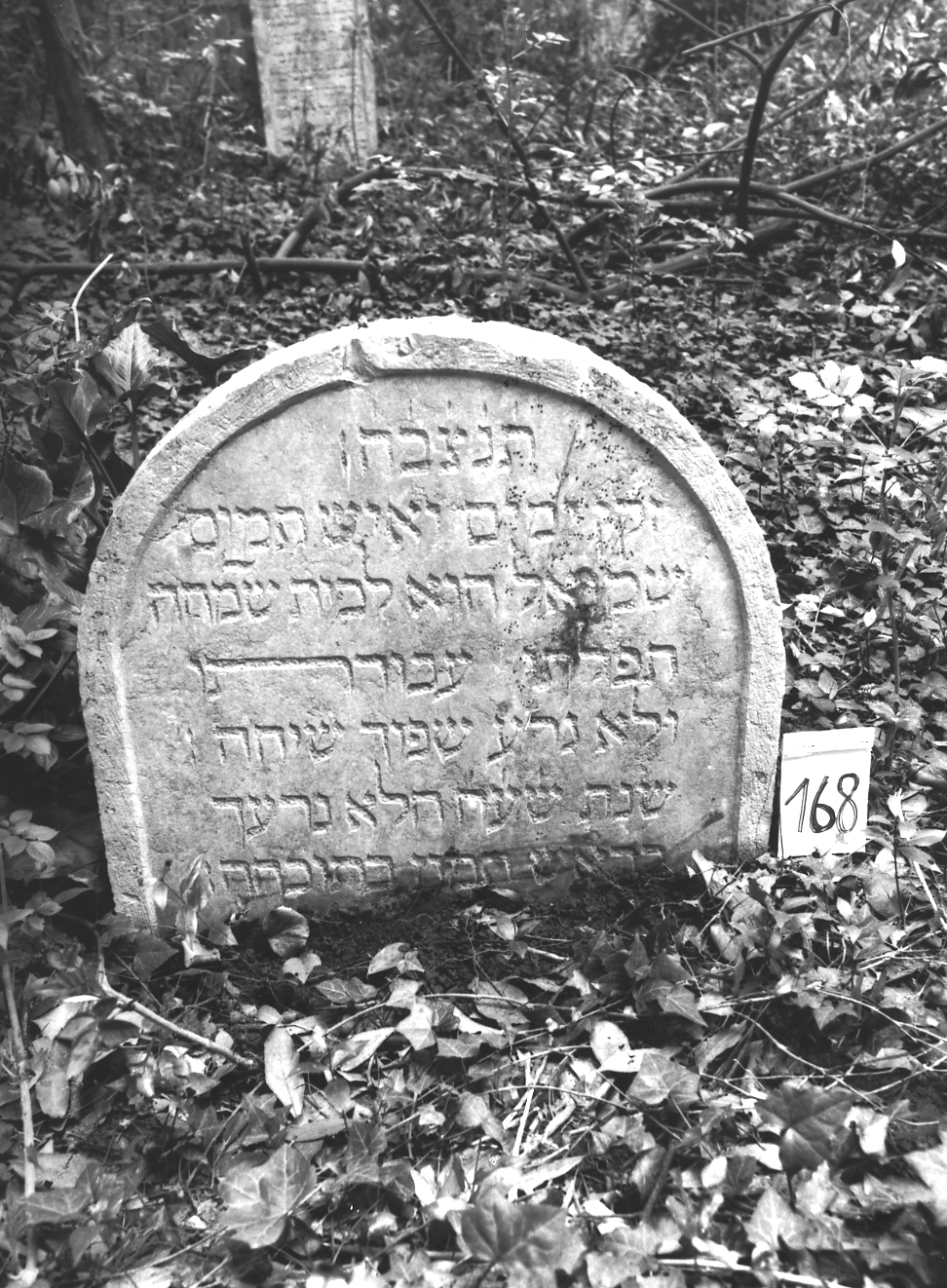 lapide - ambito veneto (sec. XVII)