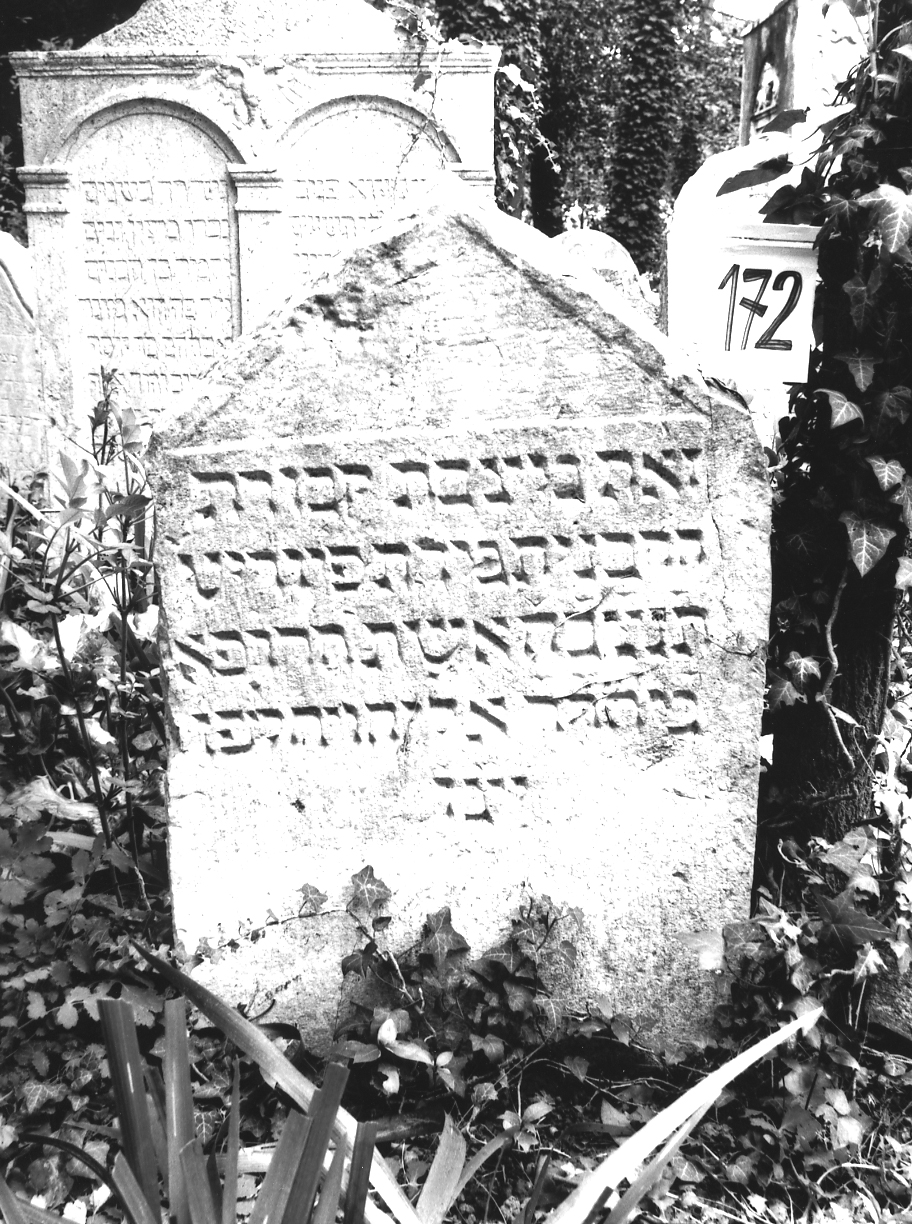 lapide - ambito veneto (sec. XVI)