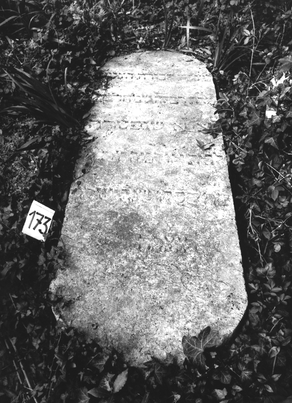 coperchio di sarcofago - ambito veneto (sec. XVI)