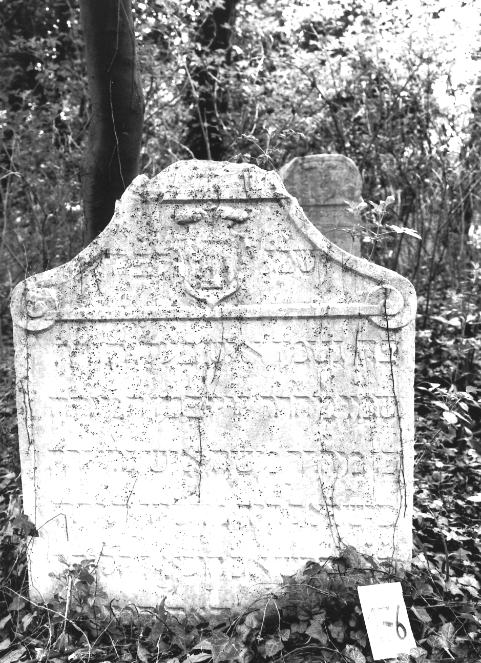 lapide - ambito veneto (sec. XVI)