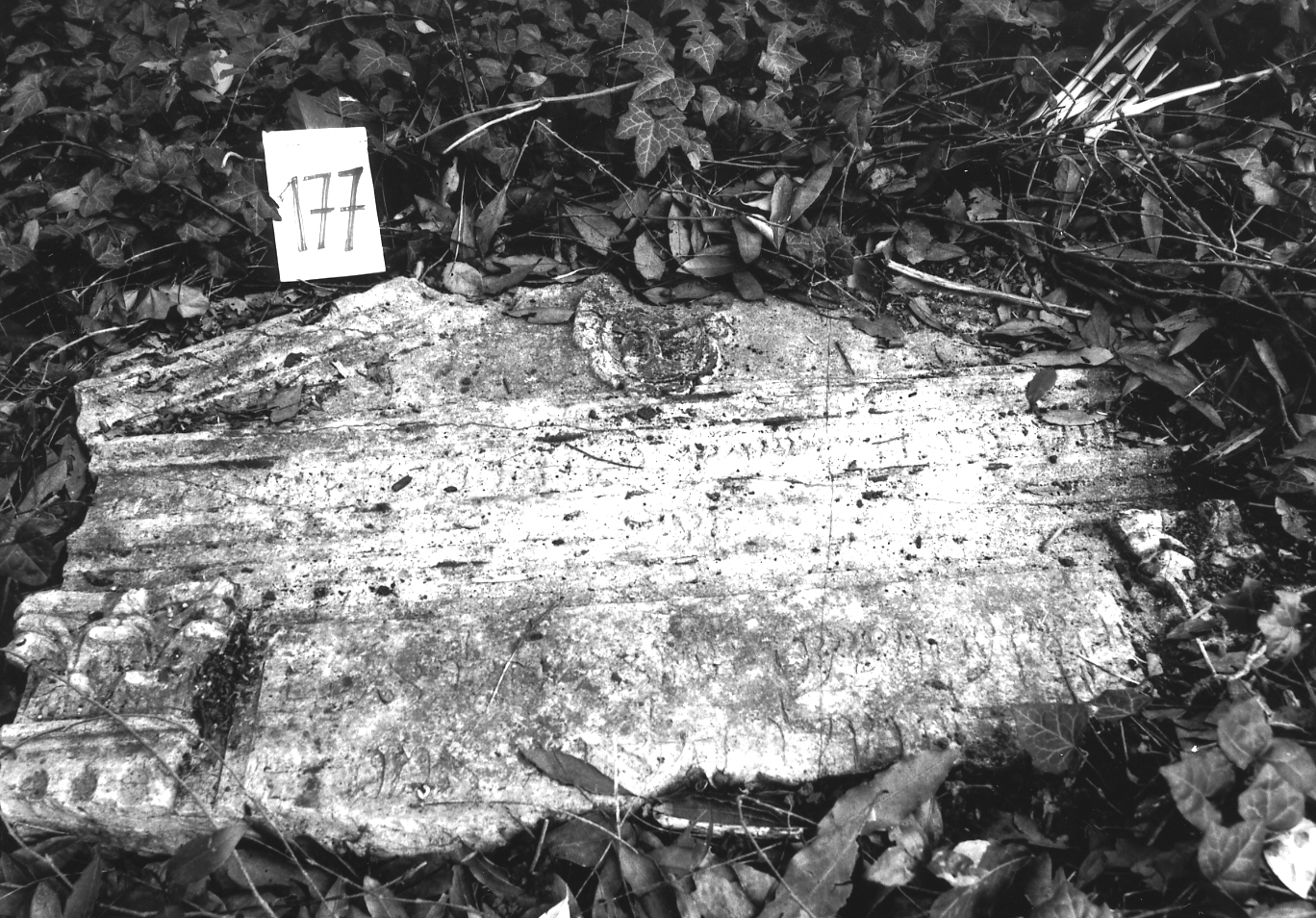 lapide - ambito veneto (sec. XVII)