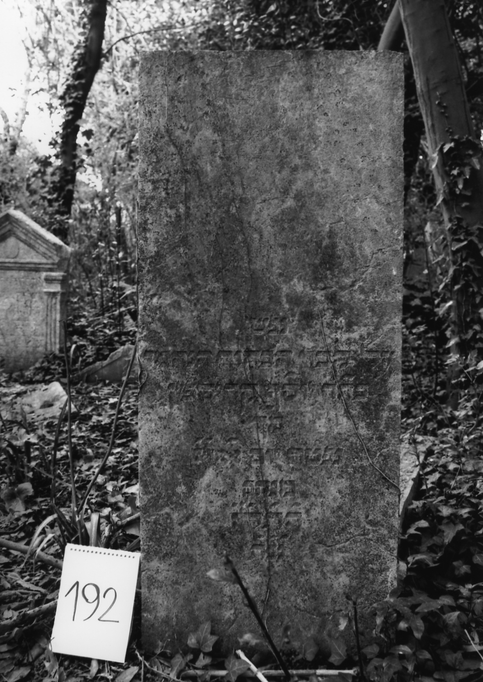 lapide - ambito veneto (sec. XVII)