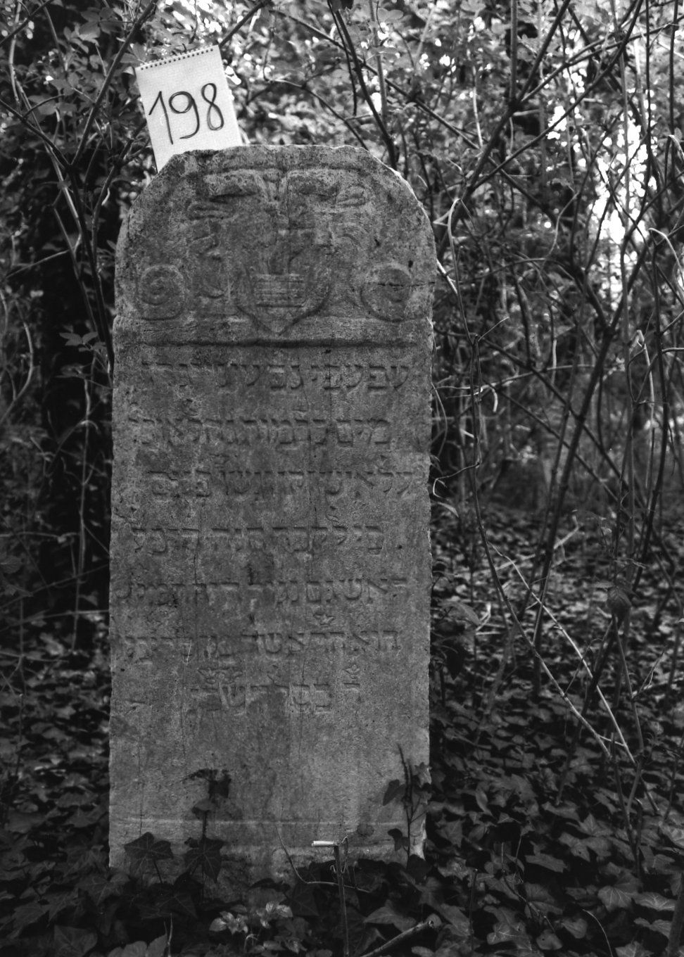 lapide - ambito veneto (sec. XVI)