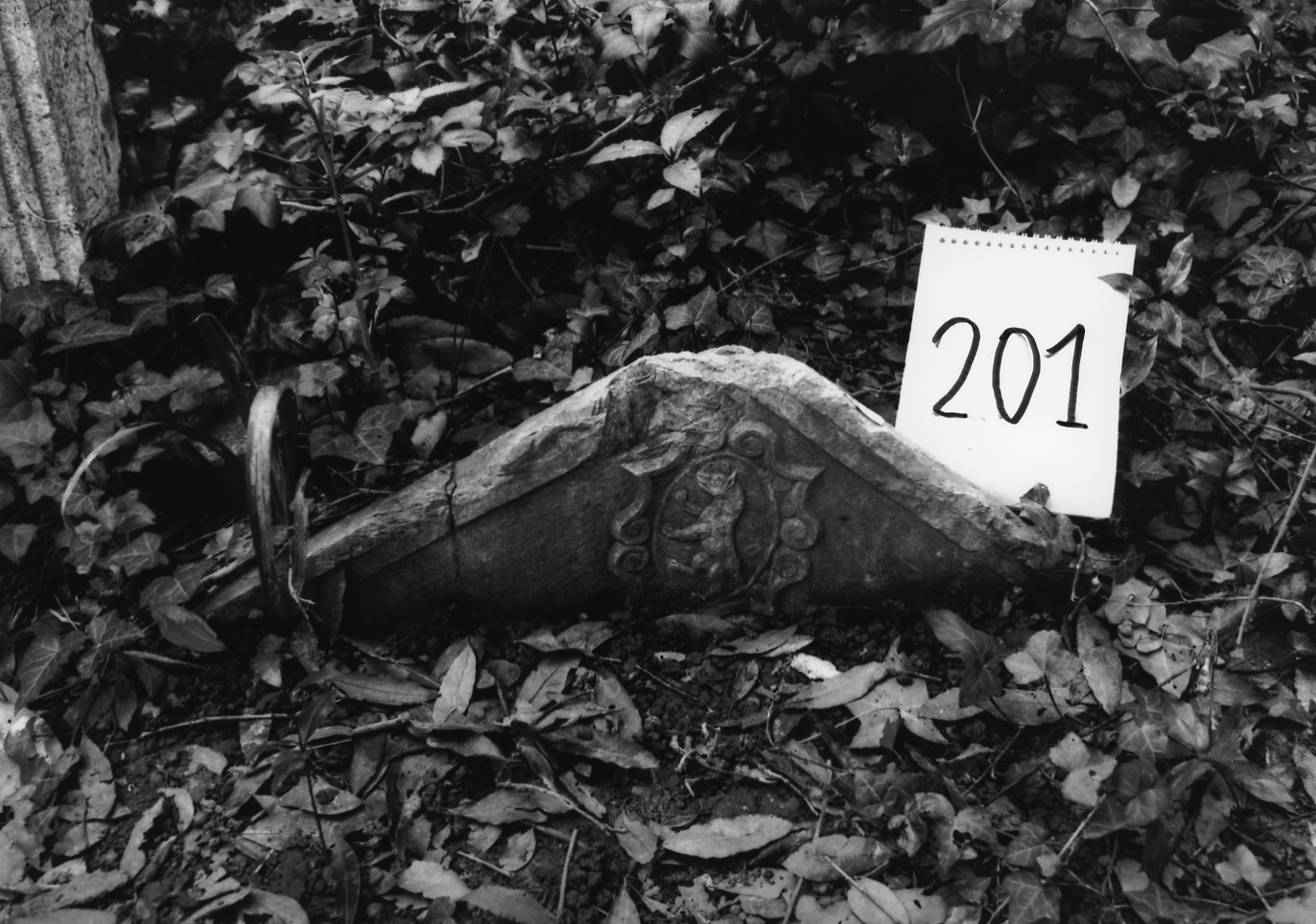 stemma (lapide) - ambito veneto (sec. XVII)