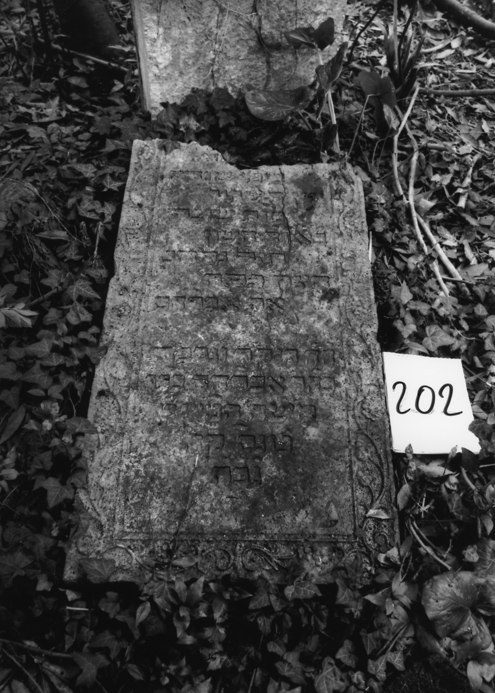 coperchio di sarcofago - ambito veneto (sec. XVII)