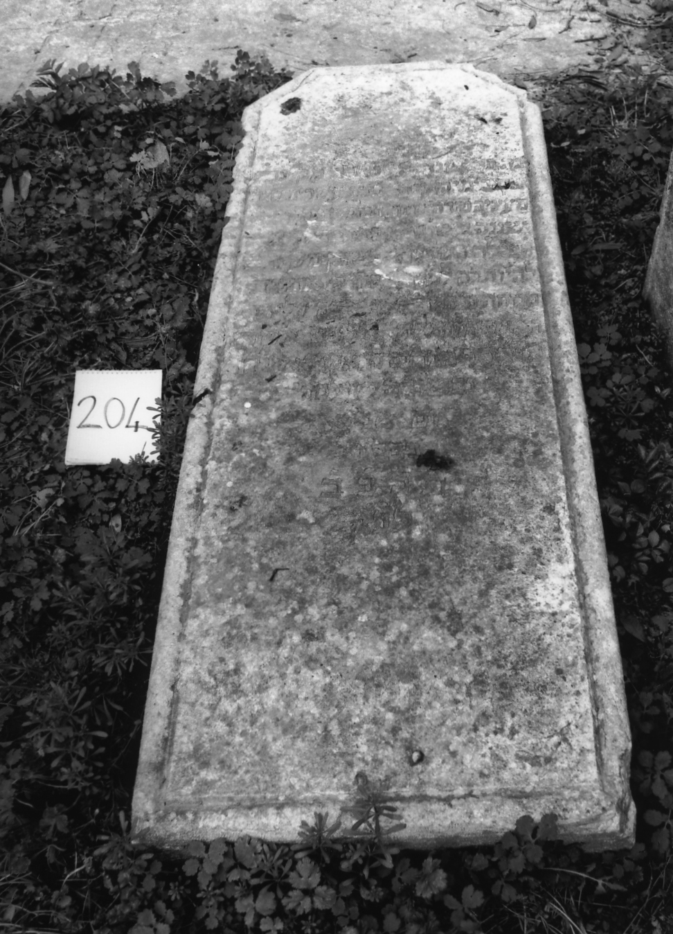 coperchio di sarcofago - ambito veneto (sec. XVIII)