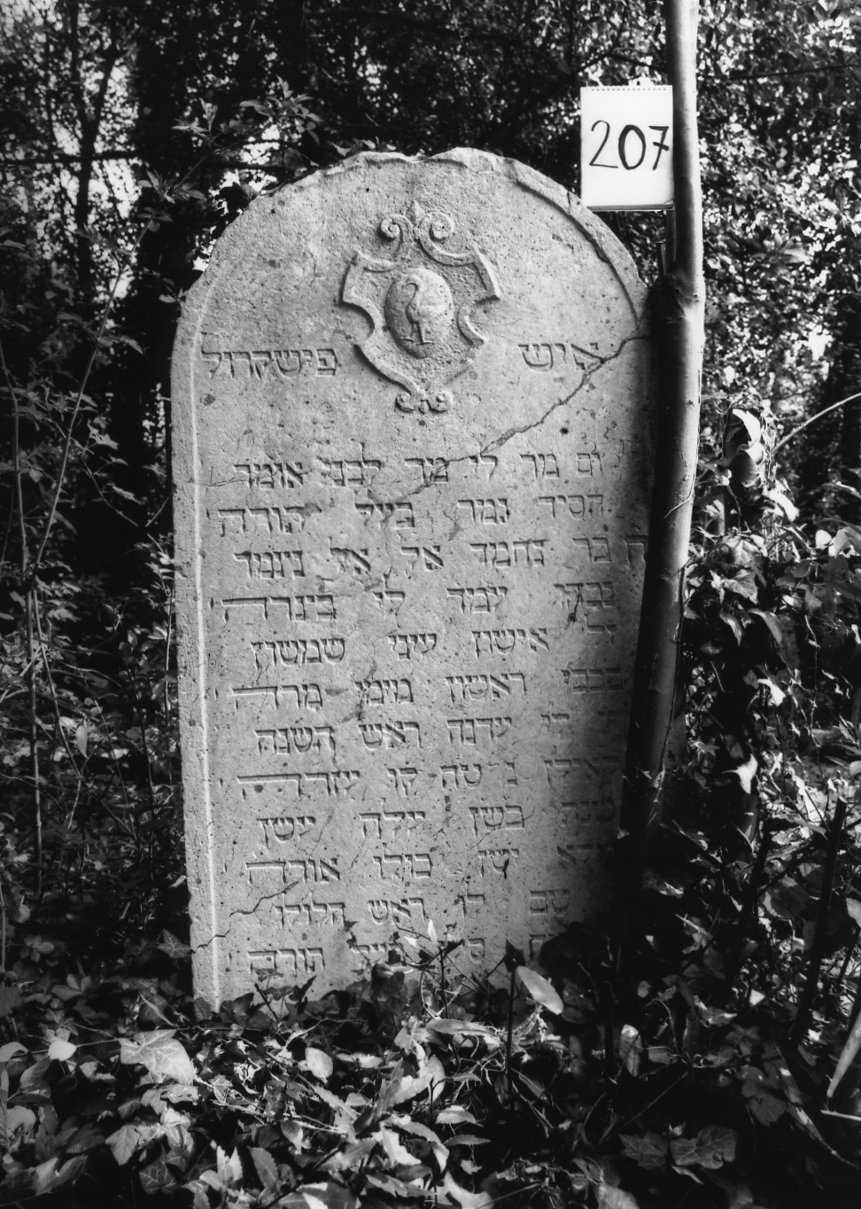 lapide - ambito veneto (sec. XVI)