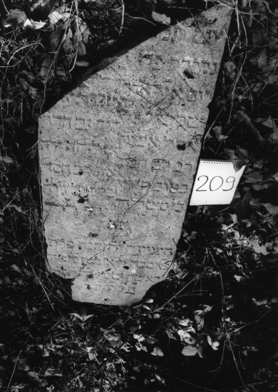 coperchio di sarcofago - ambito veneto (sec. XVII)