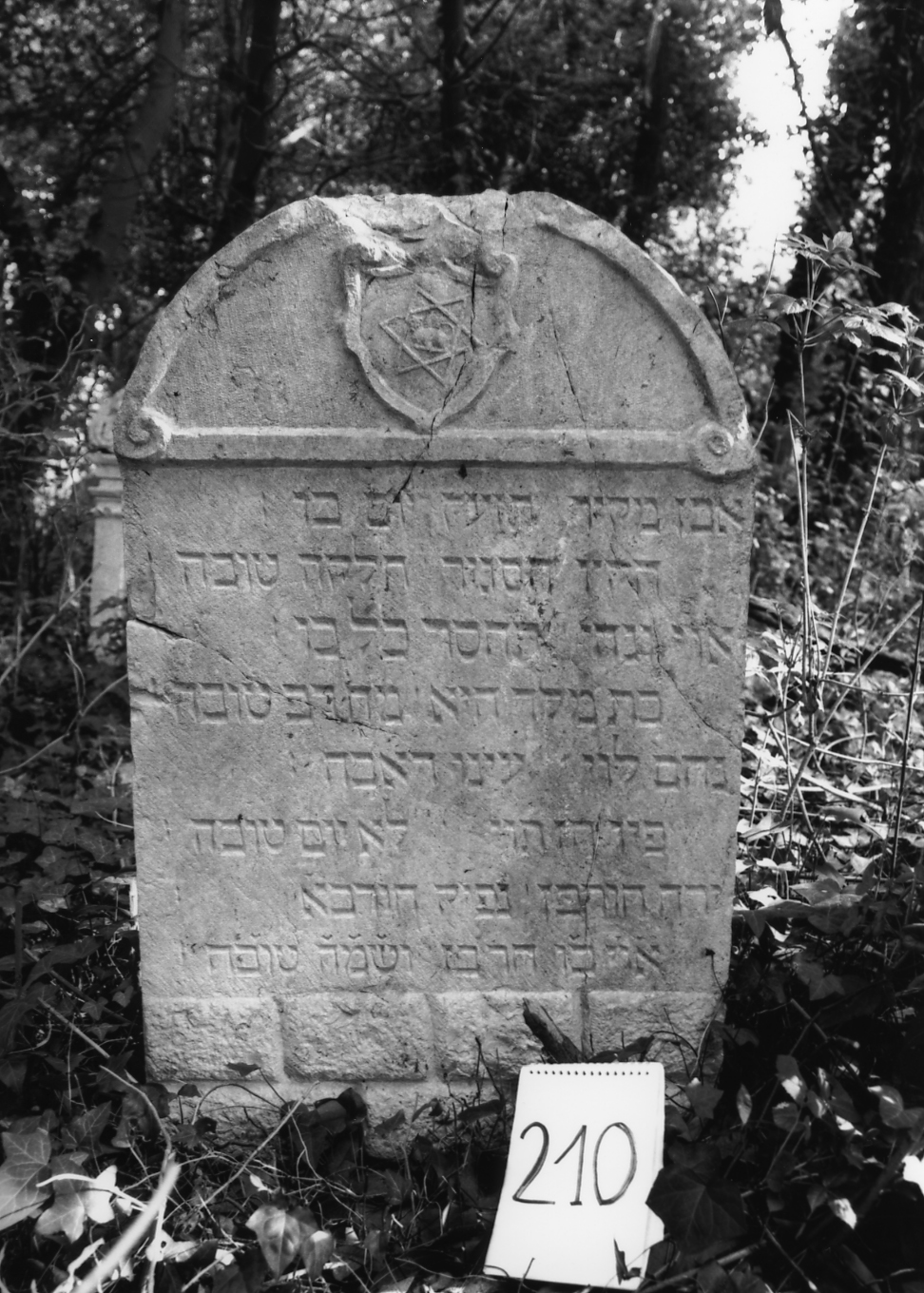 lapide - ambito veneto (sec. XVII)