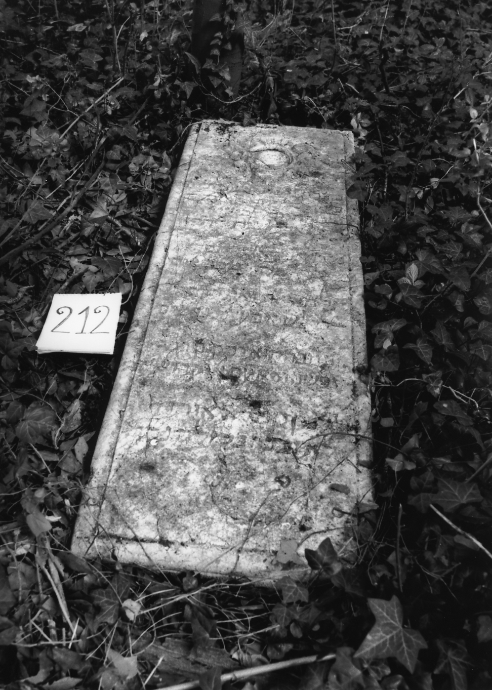 sarcofago - ambito veneto (sec. XVII)