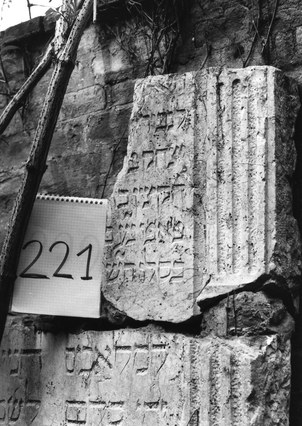 lapide - ambito veneto (secc. XVI/ XVII)