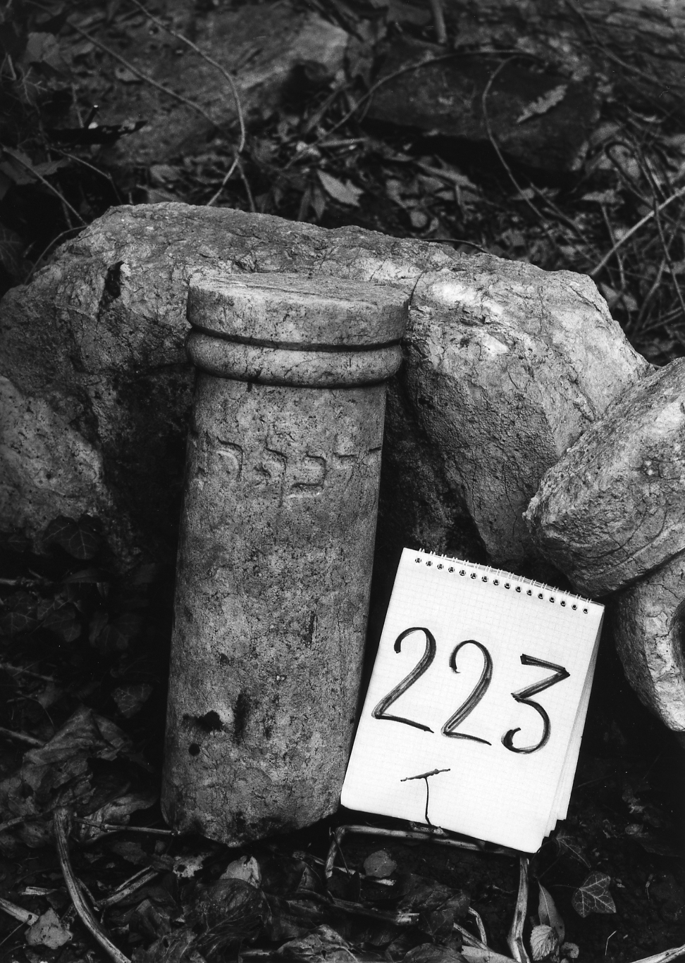 colonna - ambito veneto (sec. XVII)