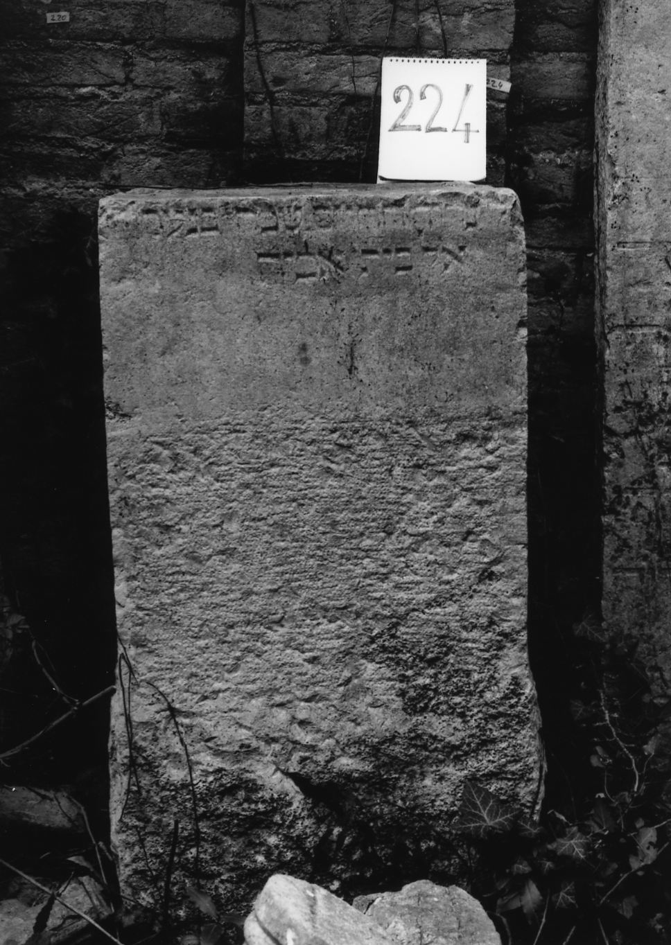 lapide - ambito veneto (sec. XVII)